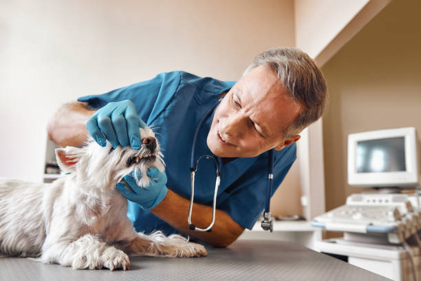 Best Emergency Treatment for Dental Infections or Abscesses in Drumright, OK